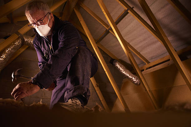 Best Attic Insulation Installation  in Mount Pleasant, MI